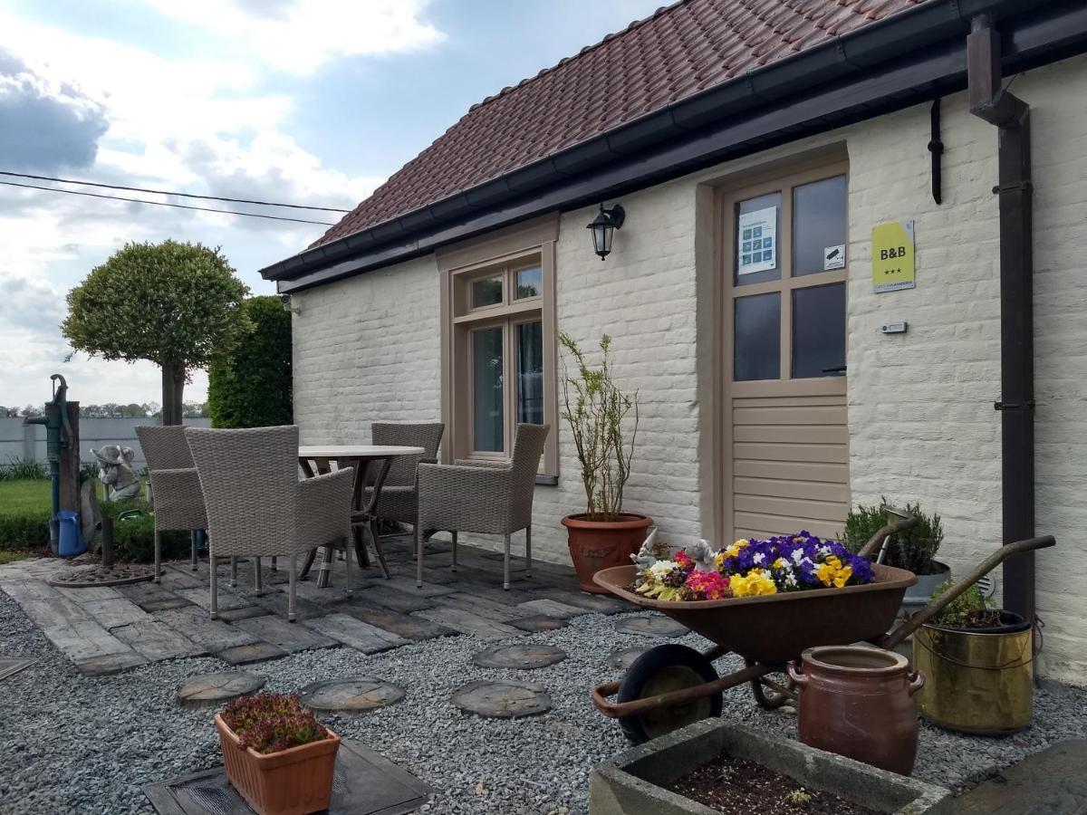 DHofstede vakantiewoning Oudenaarde Eksteriør billede